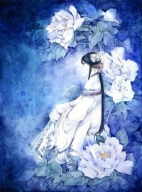 玫瑰配百合