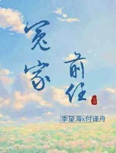 冤家前任